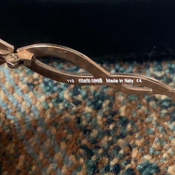 Roberto Cavalli Sunglasses main image 7